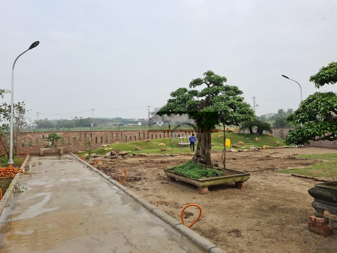 Chính chủ cần bán đất nhà vườn lô góc trung tâm khu Hồng Vân, Thường Tín. Diện tích 2600m2-01