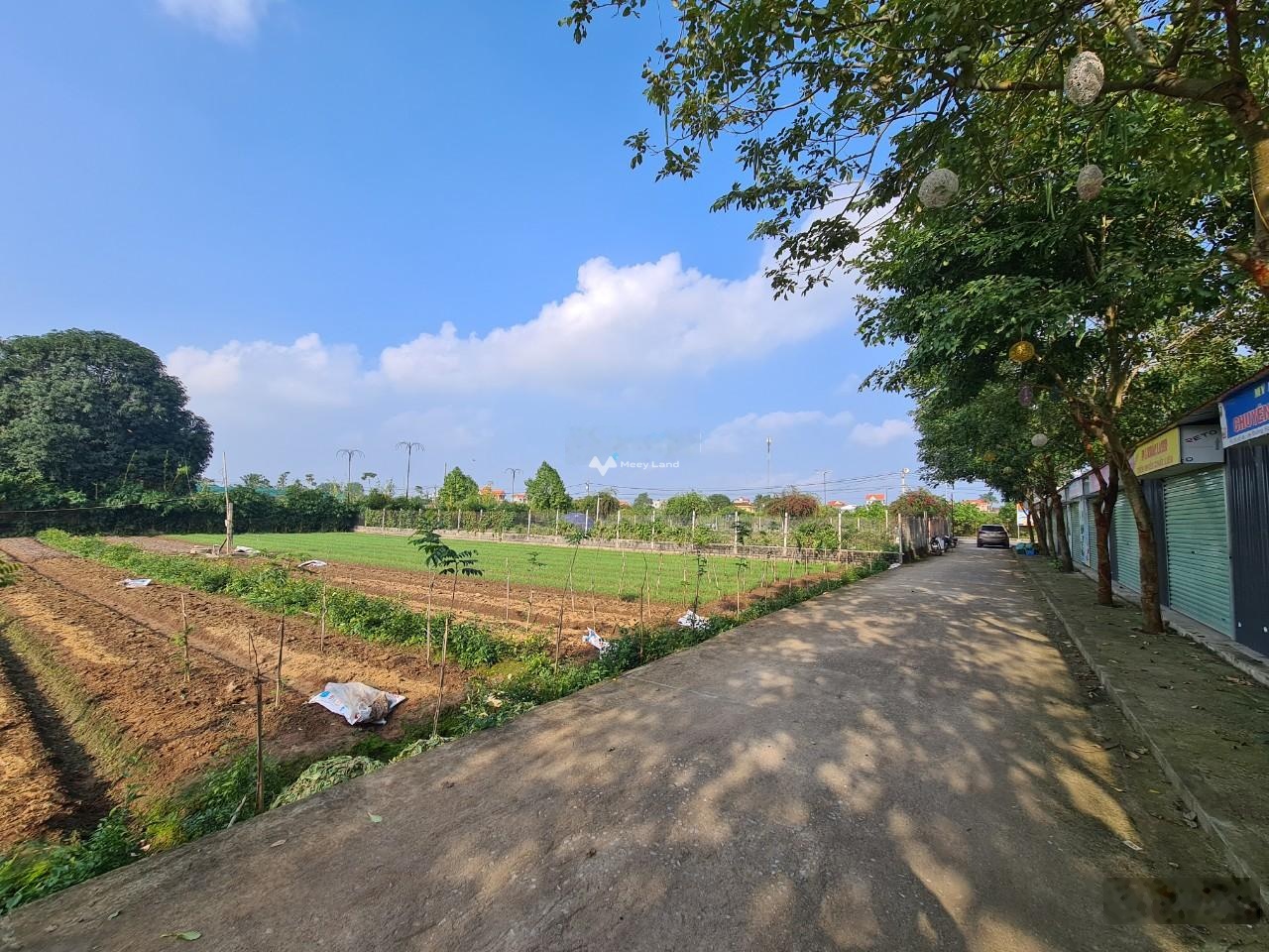 Chính chủ cần bán đất nhà vườn lô góc trung tâm khu Hồng Vân, Thường Tín. Diện tích 2600m2-03