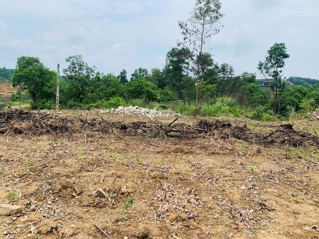 Bán mảnh đất giá cực rẻ, diện tích 7600m2 tại Cư Yên, Lương Sơn, Hòa Bình-03
