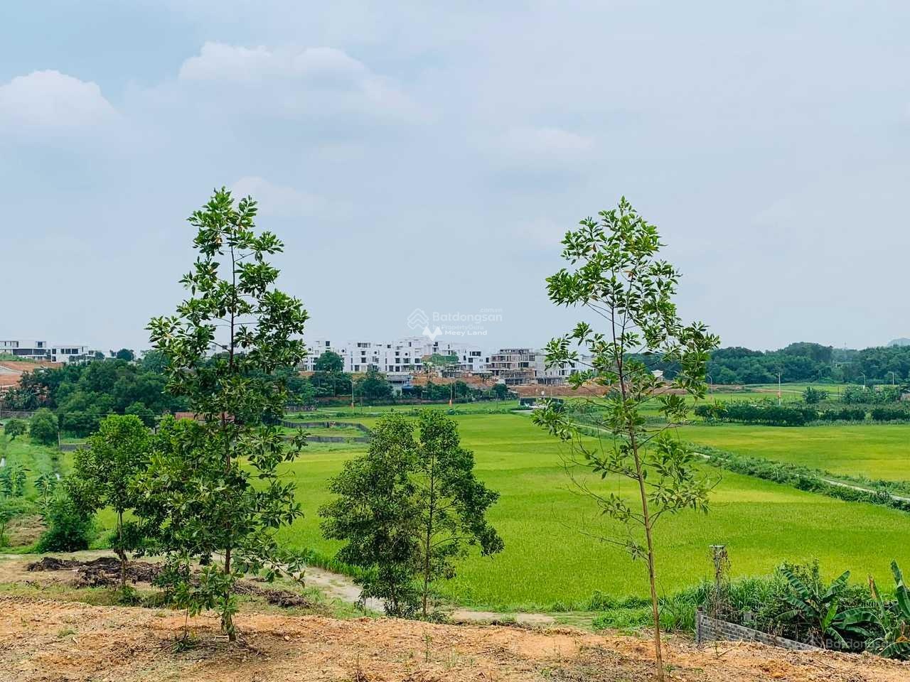 Bán mảnh đất giá cực rẻ, diện tích 7600m2 tại Cư Yên, Lương Sơn, Hòa Bình-01