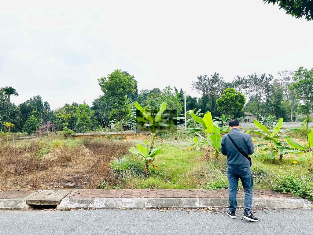 Bán đất tại Cổ Rùa, Phú Mãn, Quốc Oai. Diện tích 75m2-03