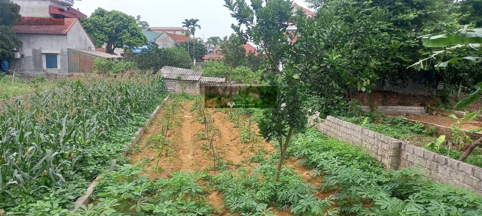 Bán mảnh đất thổ cư tại Linh Sơn, Bình Yên, Thạch Thất. Diện tích 158m2-02