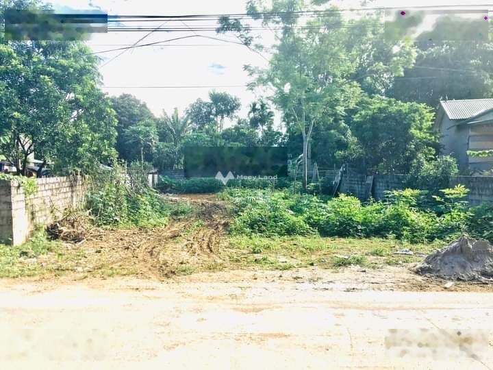 Bán đất mặt đường tại Cư Yên, Lương Sơn, Hoà Bình. Diện tích 370m2-01