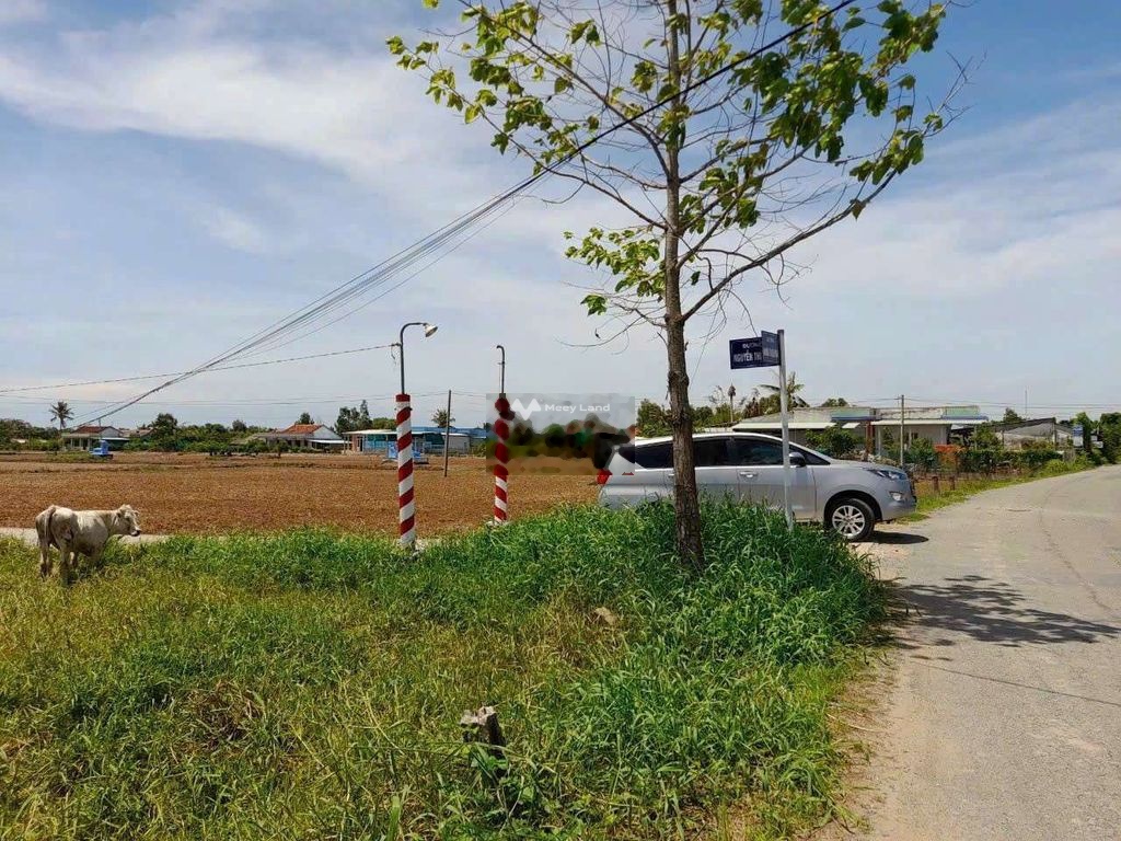 Bán đất 999 triệu, diện tích 1015m2 tại Nguyễn Thị Tần, Xã Tân Phước Tây. Đất mặt tiền đường ô tô-02
