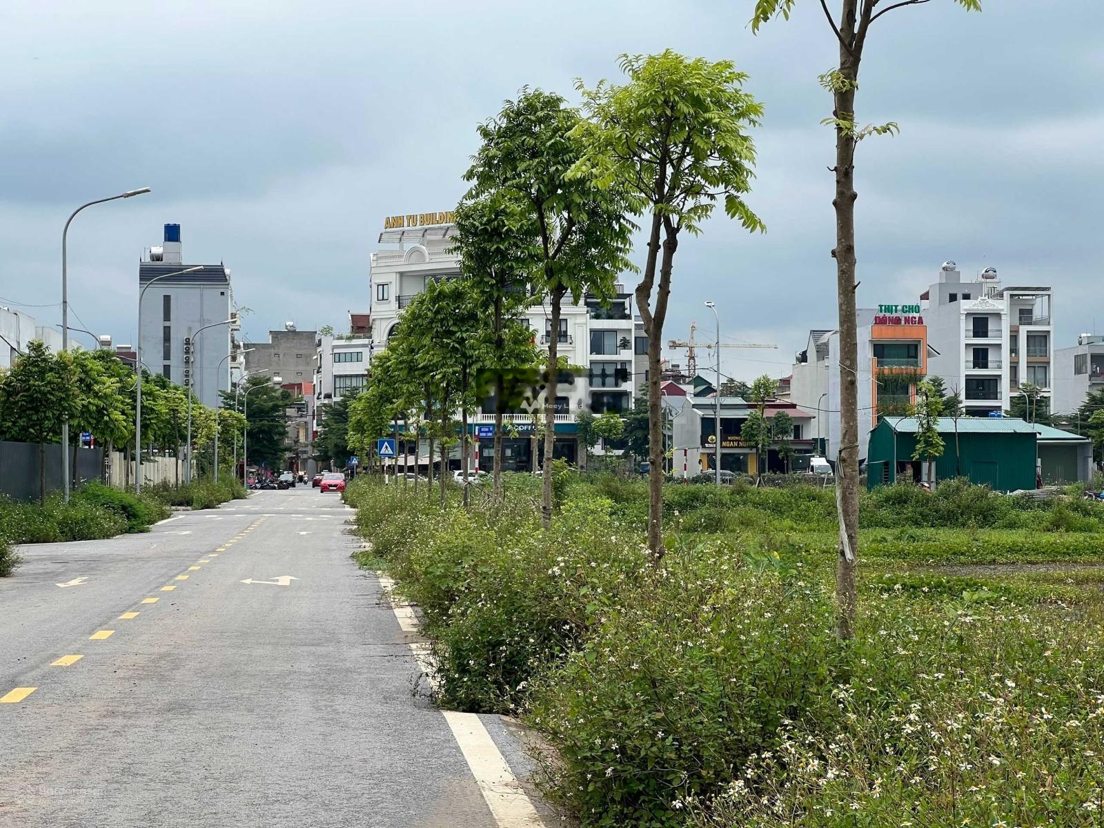 Cần bán lô đất dịch vụ tiểu khu Nguyễn Du, Thường Tín. Diện tích 87m2-03