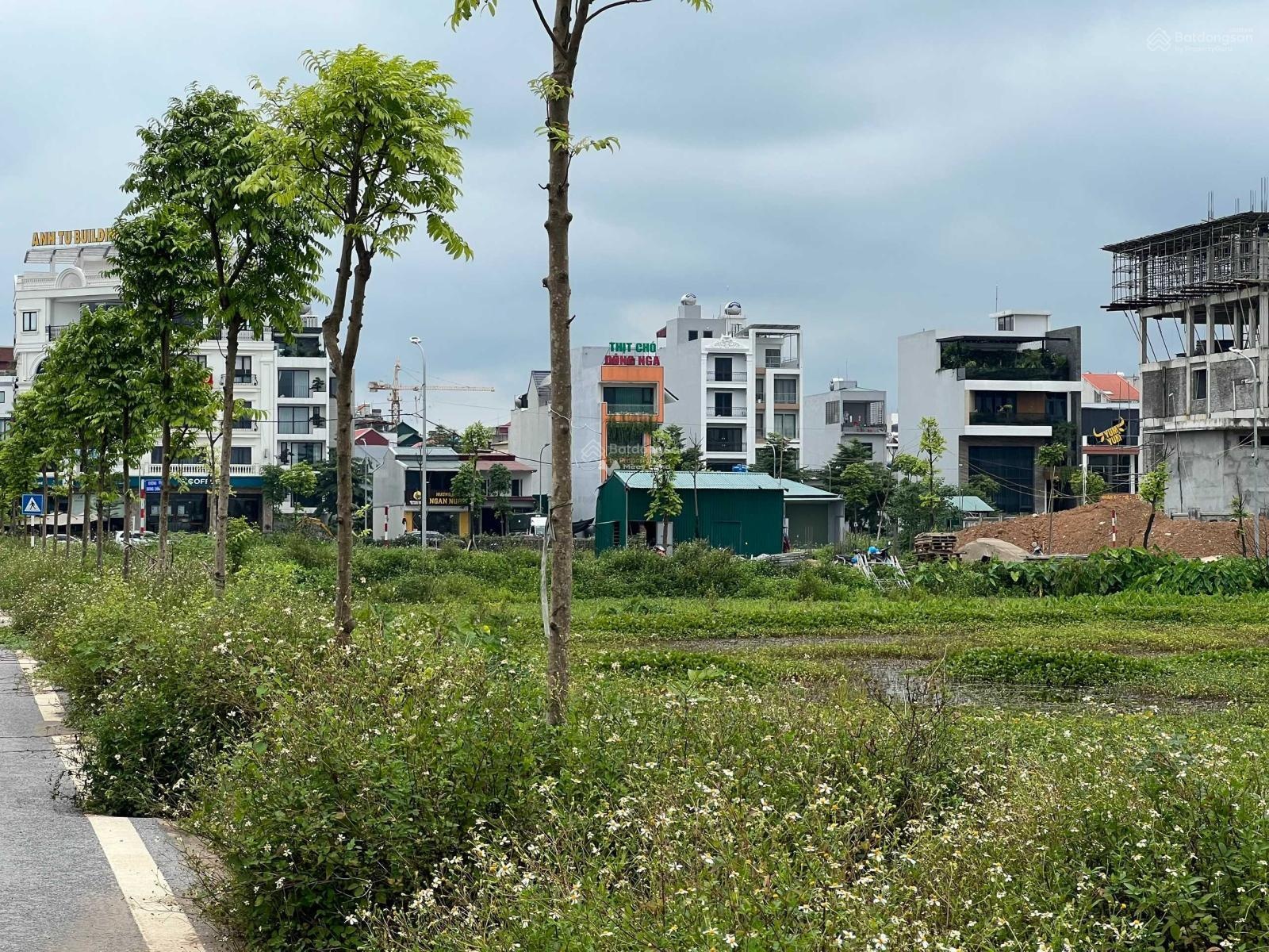 Cần bán lô đất dịch vụ tiểu khu Nguyễn Du, Thường Tín. Diện tích 87m2-01