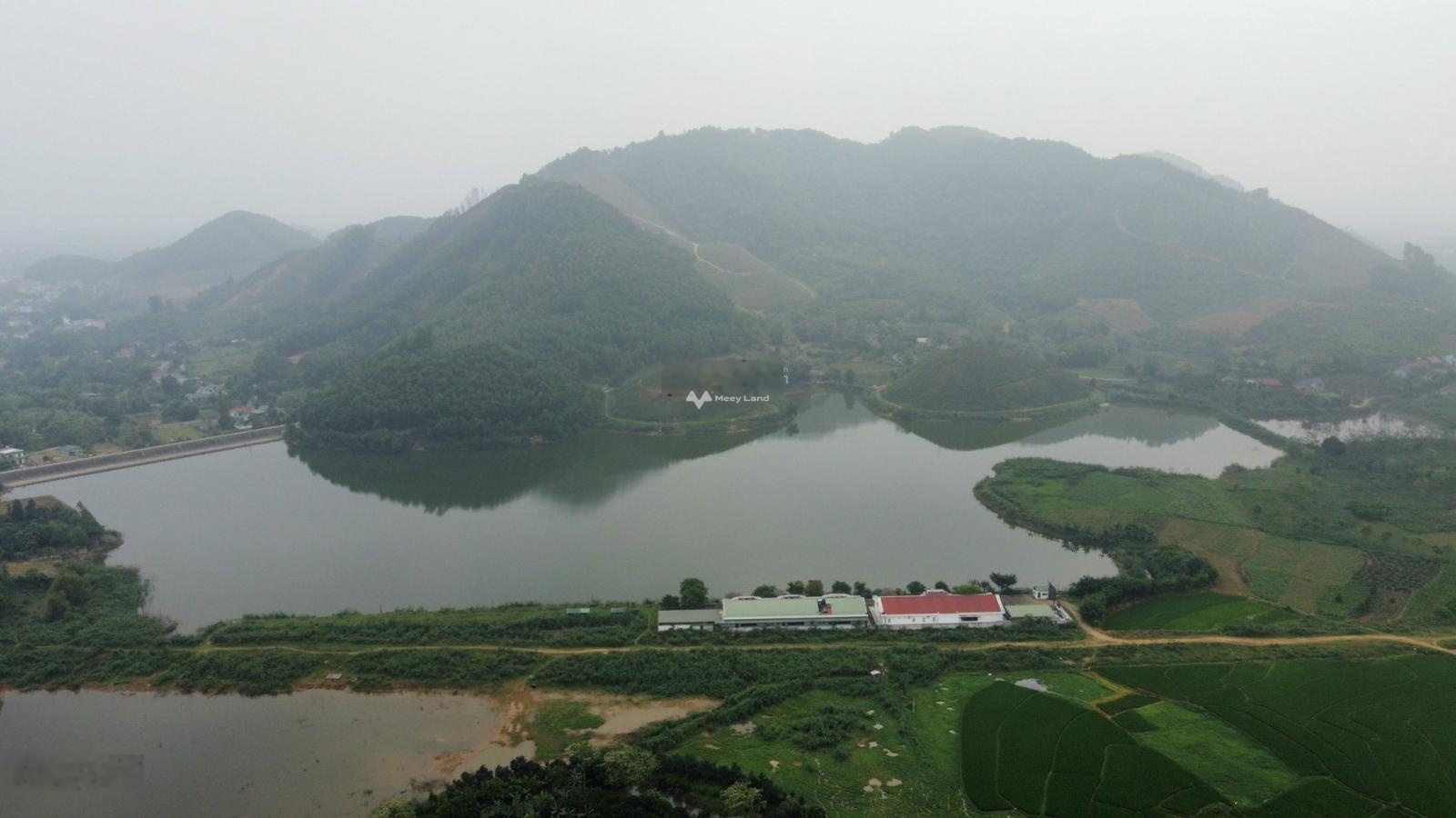 Bán đất bám hồ tại Yên Bình, Thạch Thất. Diện tích 3600m2-01