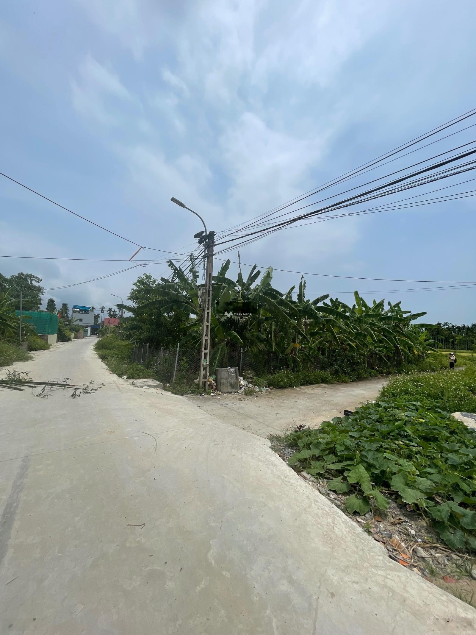 Bán mảnh đất tại Lâm Động, Thuỷ Nguyên, Hải Phòng. Diện tích 144m2-02