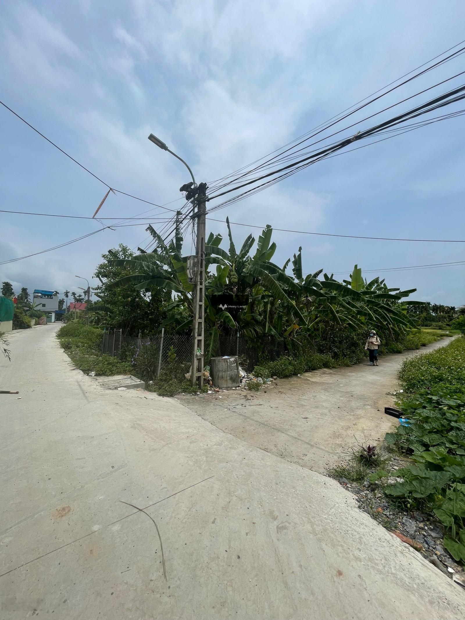 Bán mảnh đất tại Lâm Động, Thuỷ Nguyên, Hải Phòng. Diện tích 144m2-01