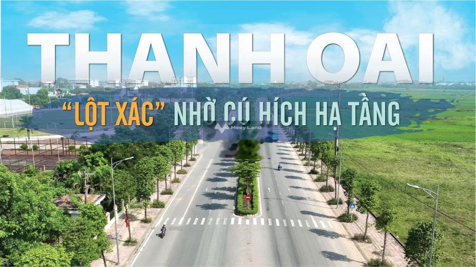 Bán đất tại Bình Minh, Thanh Oai. Diện tích 80m2-03