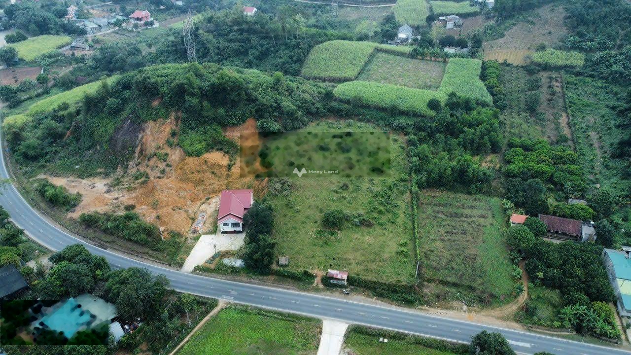 Bán siêu phẩm lô đất mặt đường diện tích 46m2 tại Cao Phong, Hoà Bình-03