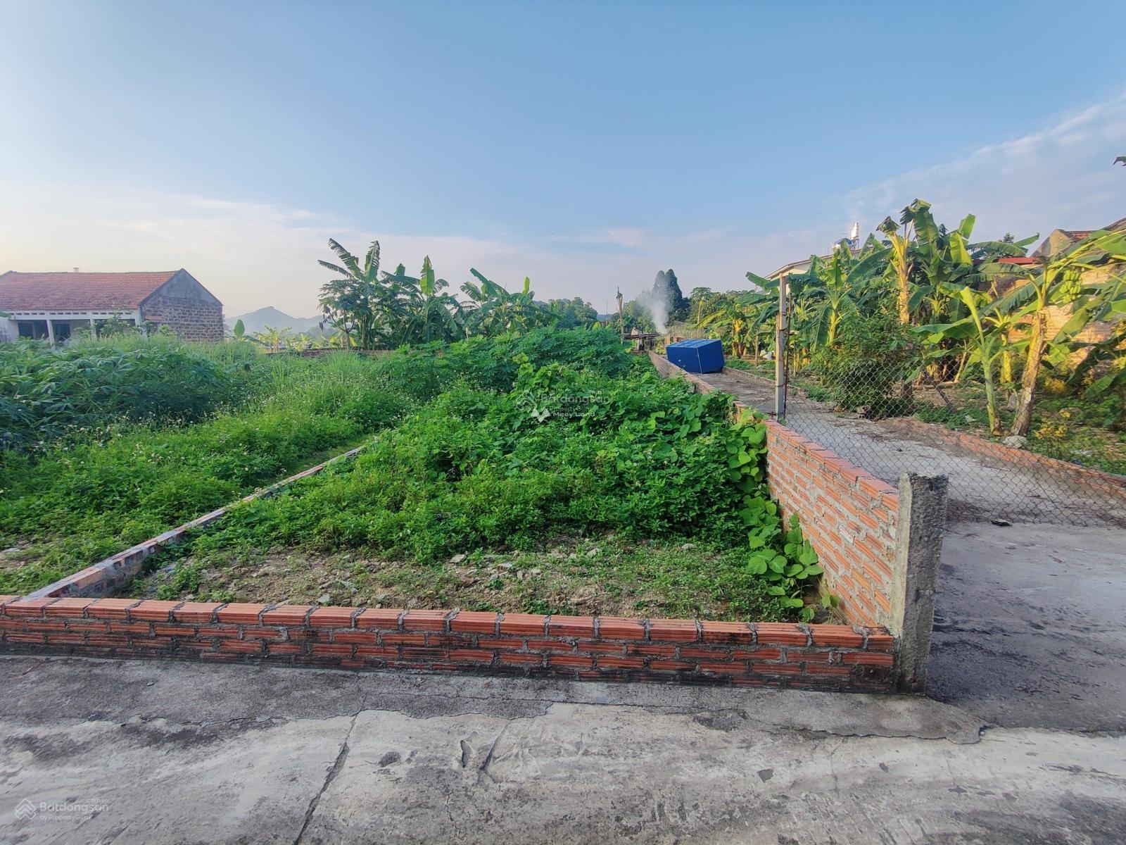 Bán đất lô góc diện tích 81m2 tại Thái Lai, Minh Trí, Sóc Sơn-02