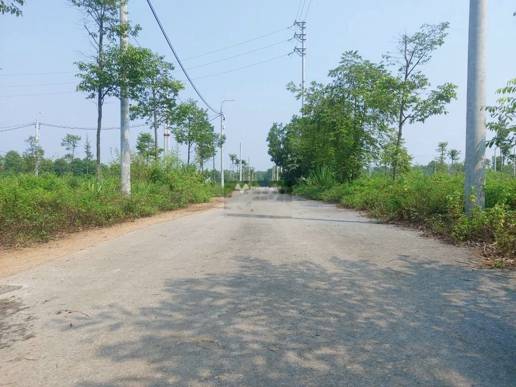 Bán đất full thổ cư tại Cổ Đông, Sơn Tây. Diện tích 100m2-03