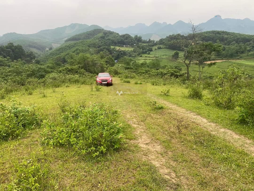 Bán đất rừng sản xuất, ô tô phóng tận đất tại Lạc Thủy, Hoà Bình. Diện tích 60000m2-02