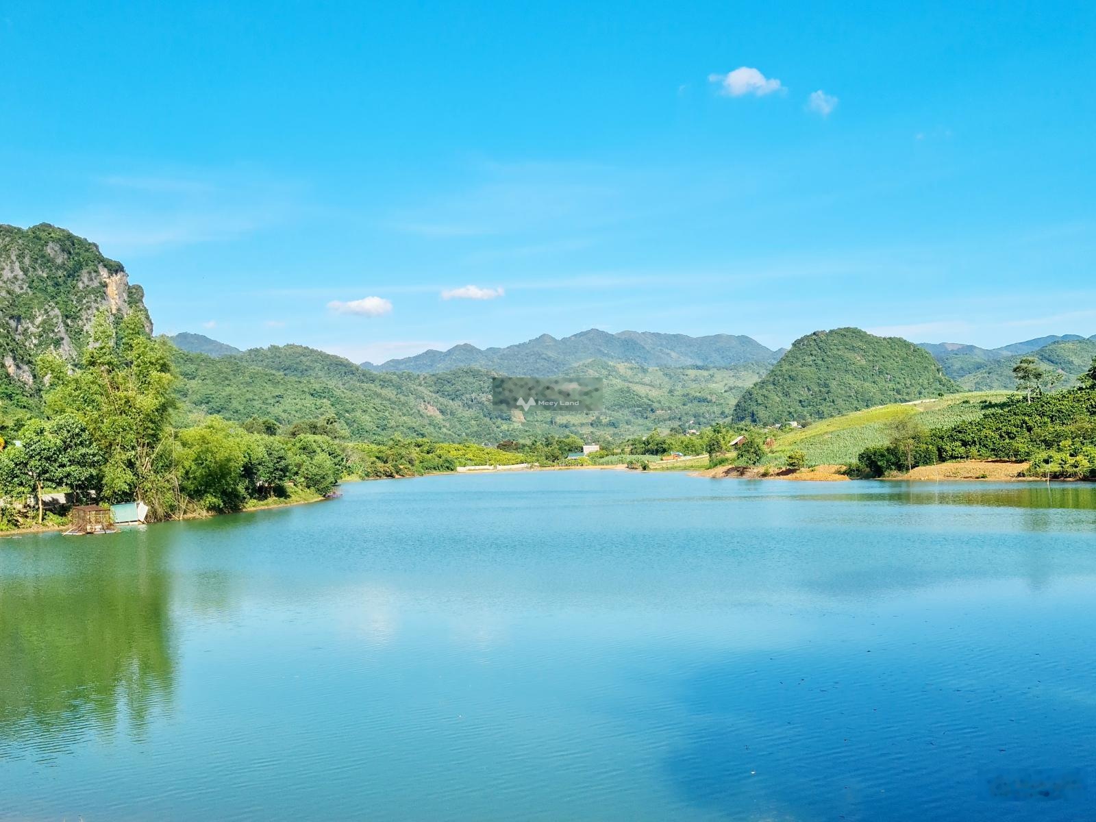 Bán lô đất diện tích 1000m2, view hồ tại Cao Phong, Hòa Bình-03