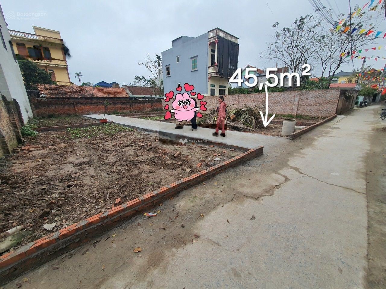 Bán đất lô góc tại Thanh Cao, Thanh Oai. Diện tích 45,5m2-03