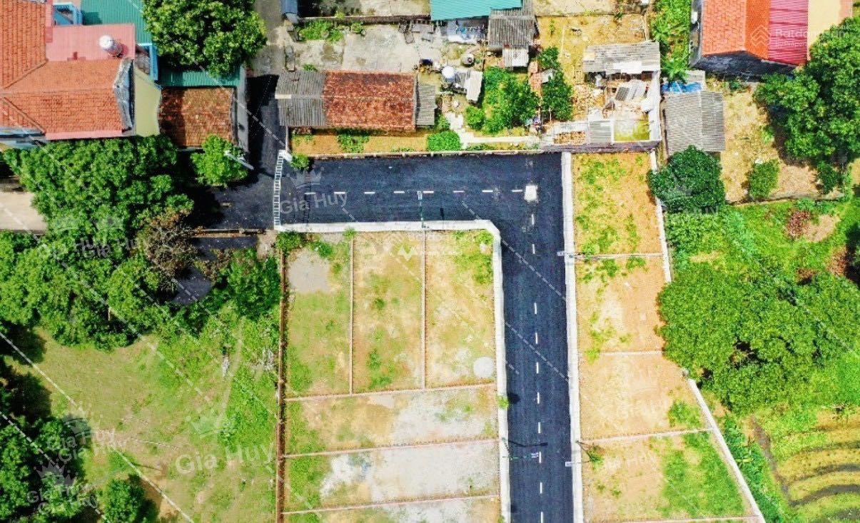 Bán đất tại Phú Minh, Sóc Sơn. Diện tích 75m2-01