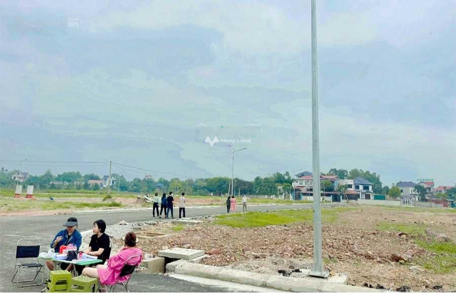 Bán đất đấu giá tại Hương Lạc, Bắc Giang. Diện tích 120m2-03