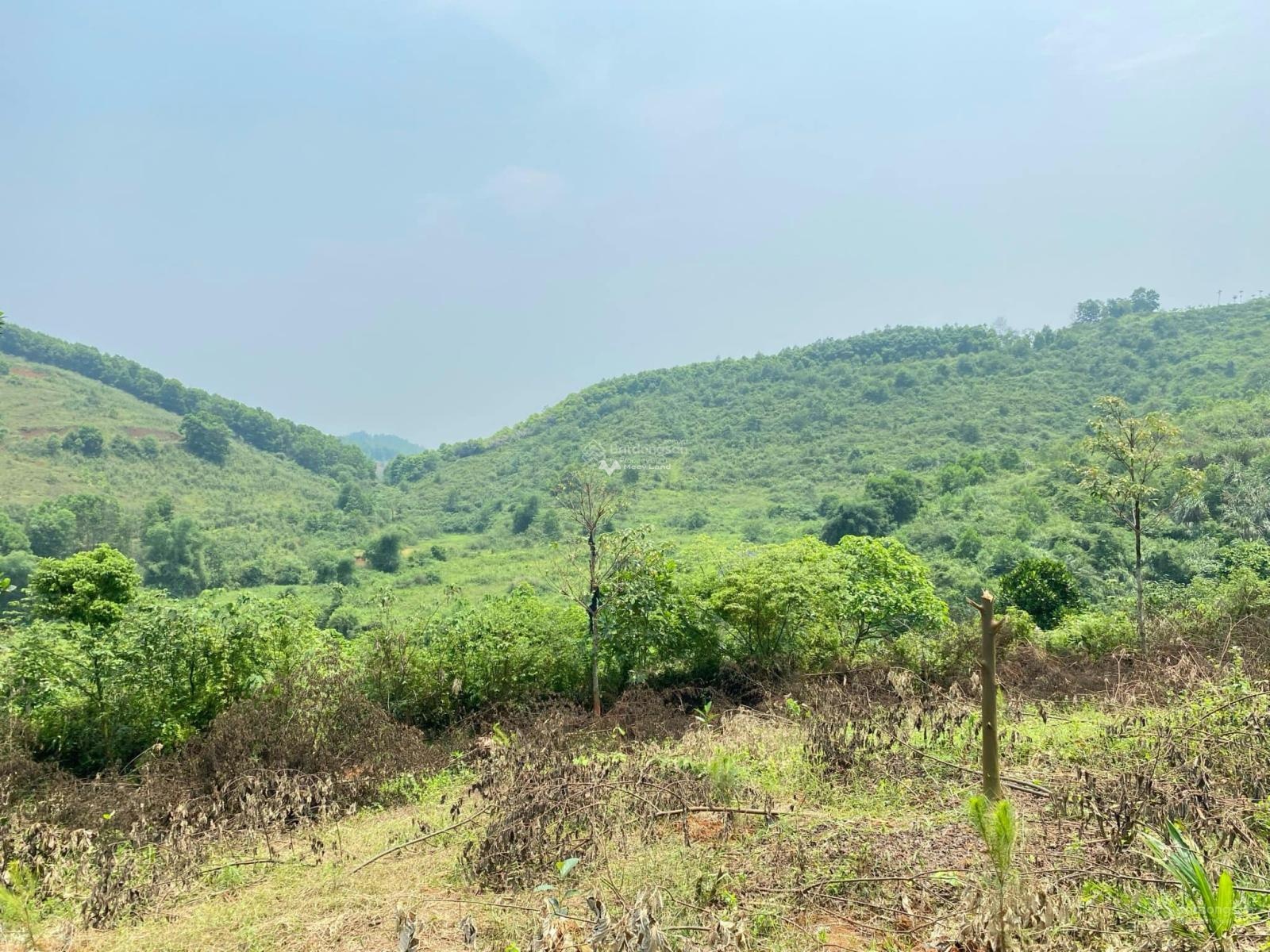 Bán đất view thung lũng núi đồi bao quanh tại Yên Trung, Thạch Thất. Diện tích 712m2-01