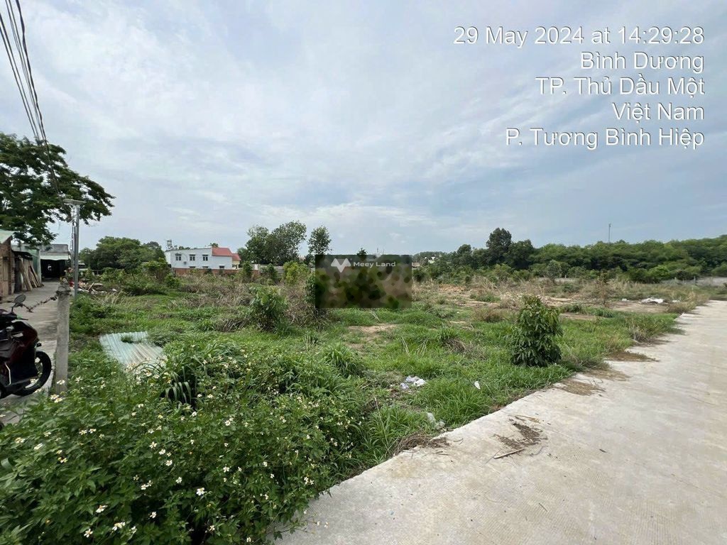 Bán đất giá 1,75 tỷ, diện tích 120 m2, tại Hồ Văn Cống, Tương Bình Hiệp, Thủ Dầu Một-03