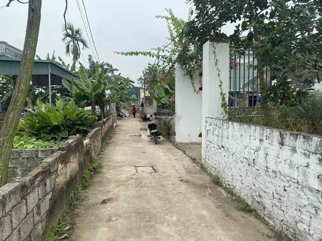 Bán đất tại Nội Thôn, Vân Tảo, Thường Tín. Diện tích 42m2-02