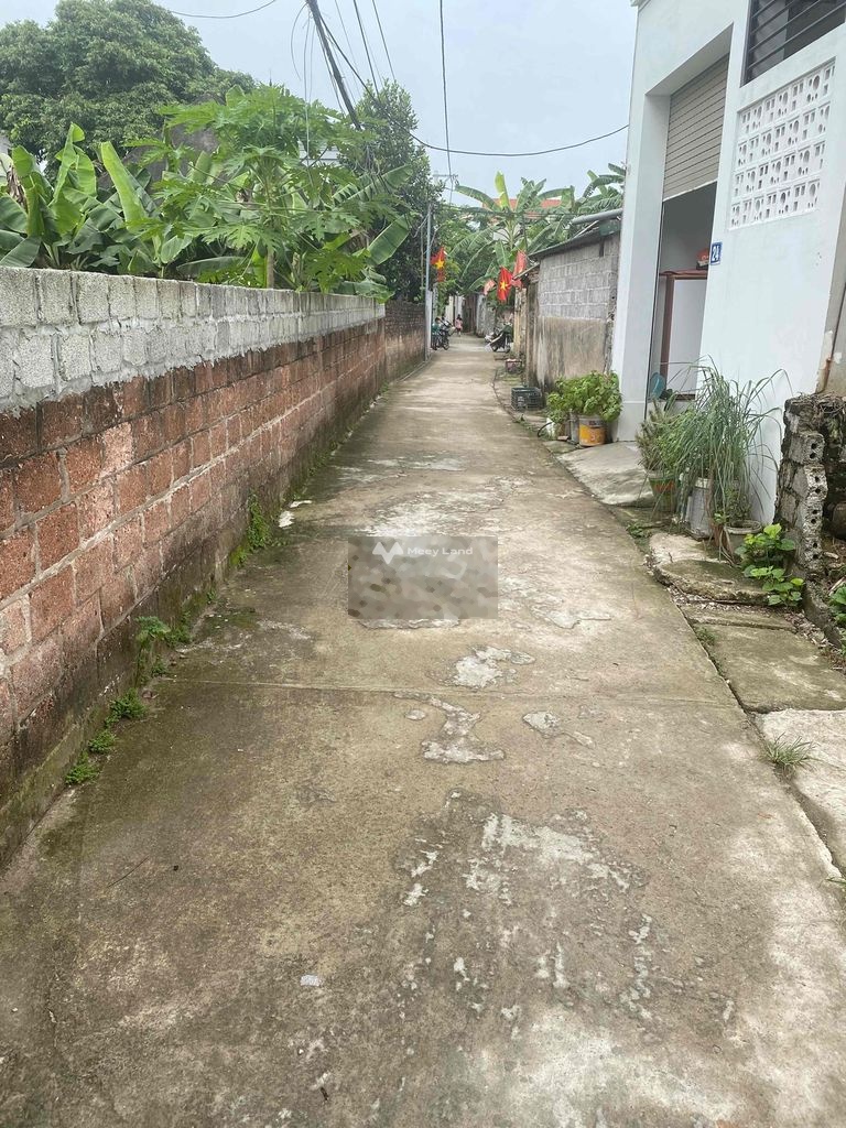 Bán đất tại Nội Thôn, Vân Tảo, Thường Tín. Diện tích 42m2-01