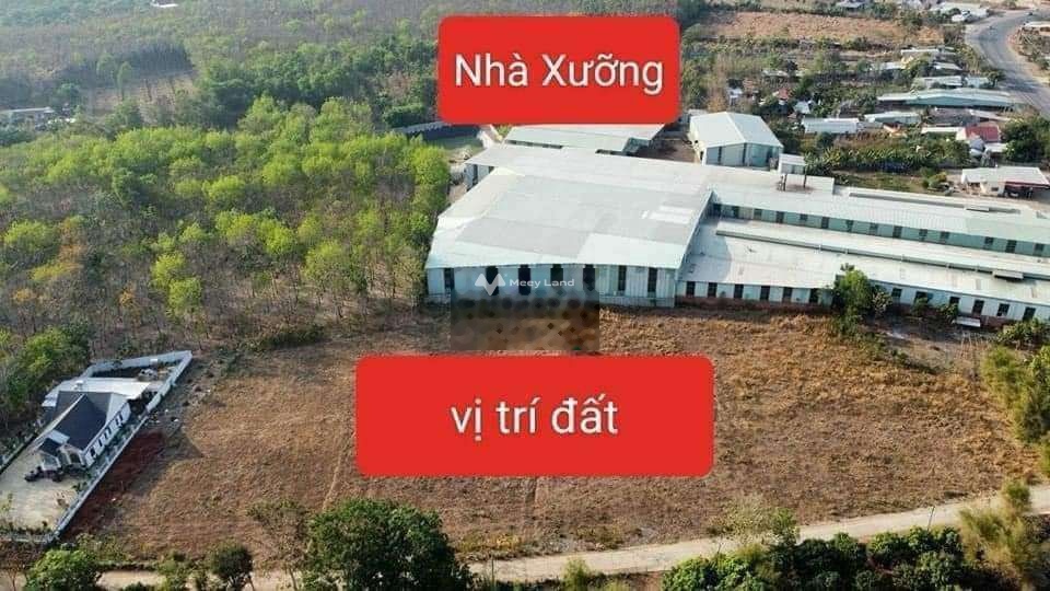 Bán đất chính chủ giá 515 triệu, diện tích 507,4 m2, tại Minh Hưng, Huyện Chơn Thành, Bình Phước-02