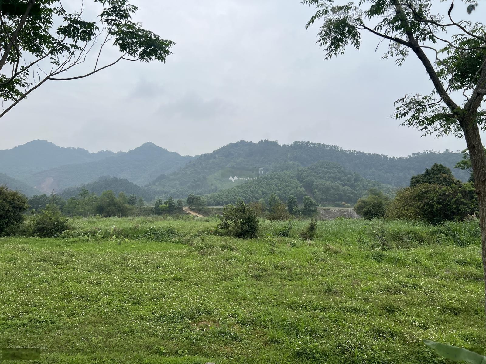 Bán đất diện tích 240m2 tại Yên Bình, Thạch Thất-03