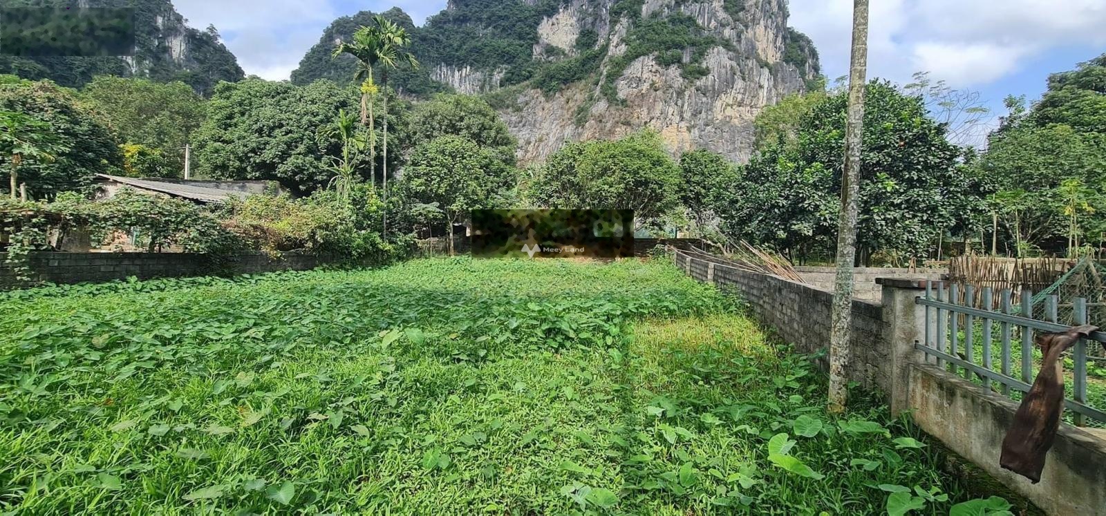 Bán lô đất diện tích 520m2 tại Tân Vinh, Lương Sơn, Hòa Bình-01