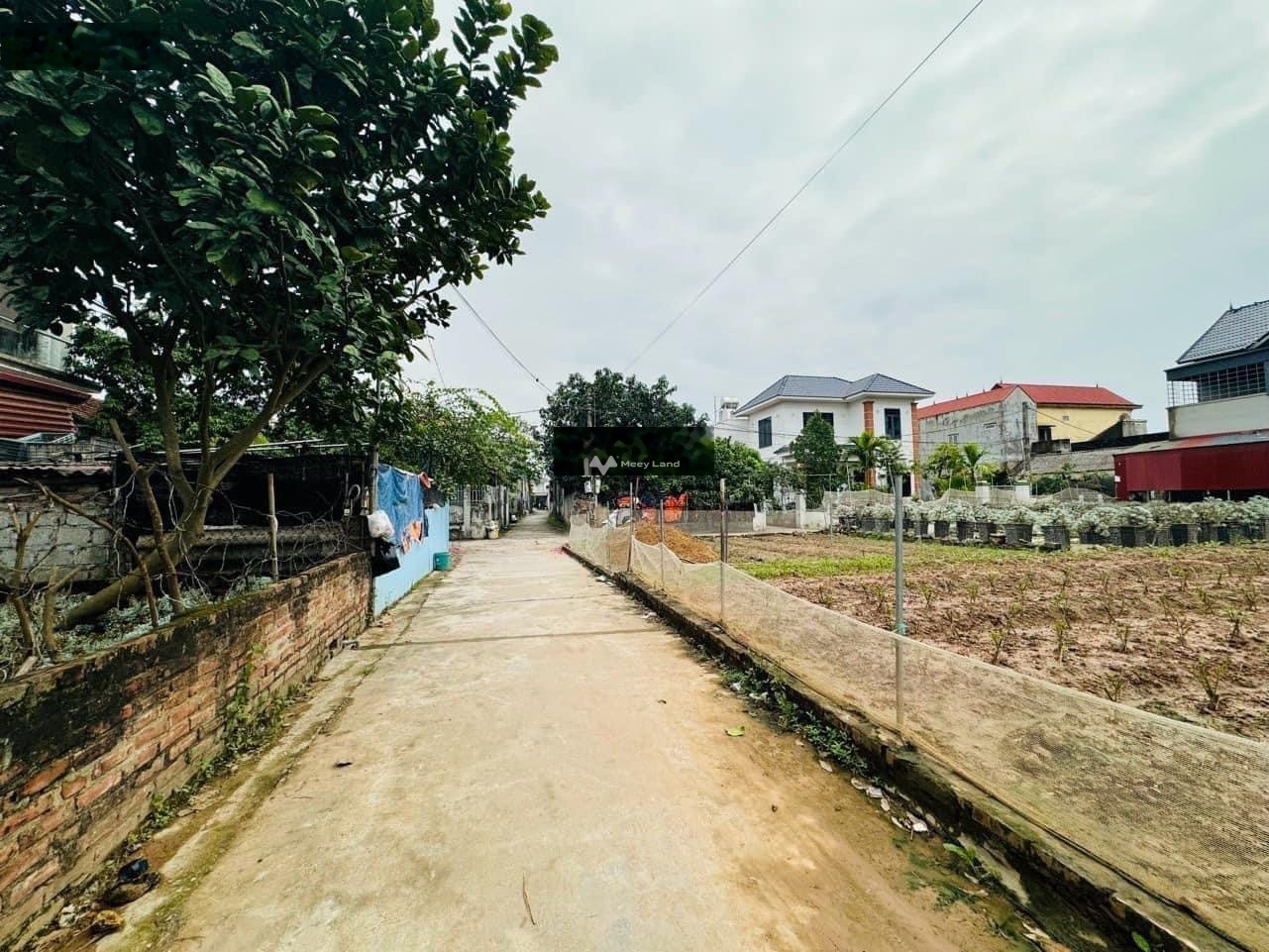 Bán đất thổ cư tại Văn Giang, Hưng Yên. Diện tích 115,2m2-01