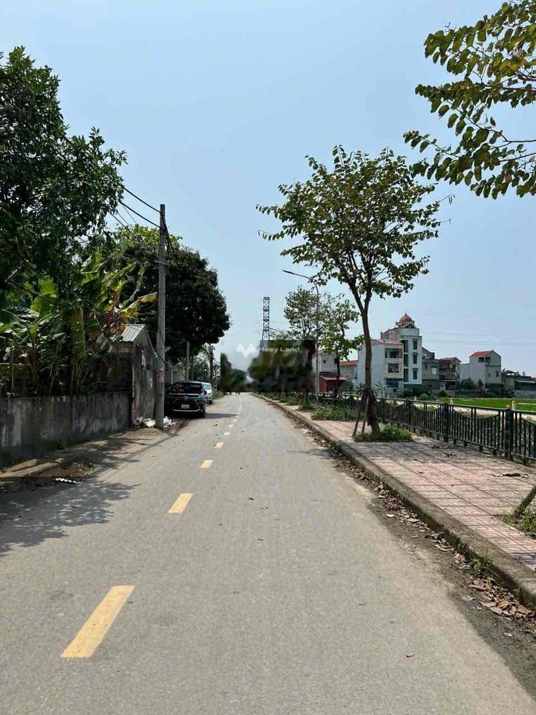 Bán đất trục đường nhựa xã Tri Trung, Phú Xuyên. Diện tích 125m2-02