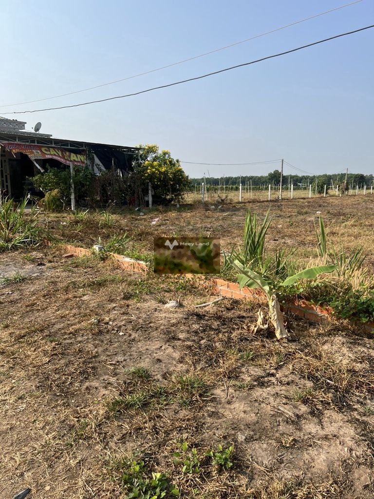Bán đất giá 650 triệu, diện tích 540 m2, tại Thạnh Tân, thành phố Tây Ninh-03