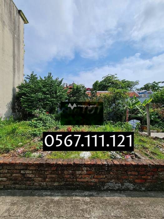 Bán đất tại thôn Đài Bi, Uy Nỗ, Đông Anh. Diện tích 52m2-01