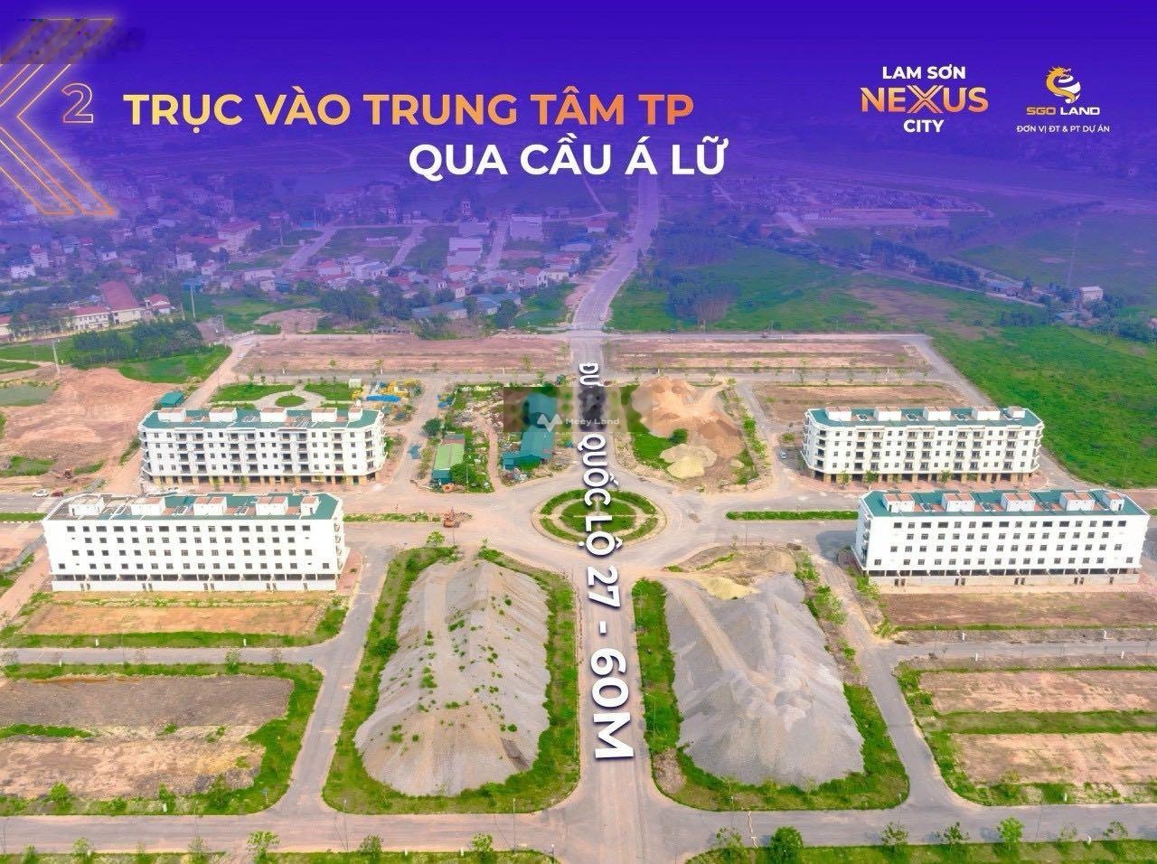 Bán đất dự án tại Lam Sơn Nexus City, Bắc Giang. Diện tích 90m2-01