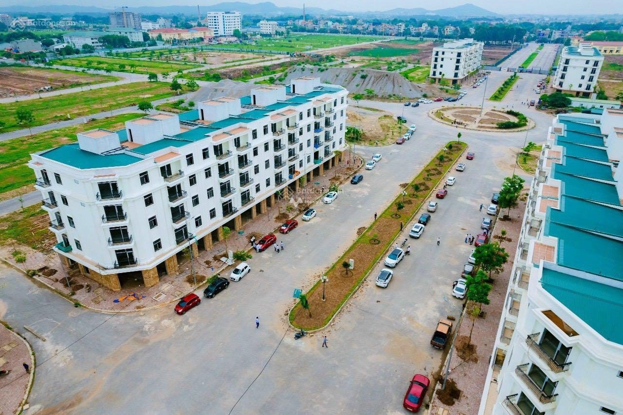 Bán đất dự án tại Lam Sơn Nexus City, Bắc Giang. Diện tích 90m2-02
