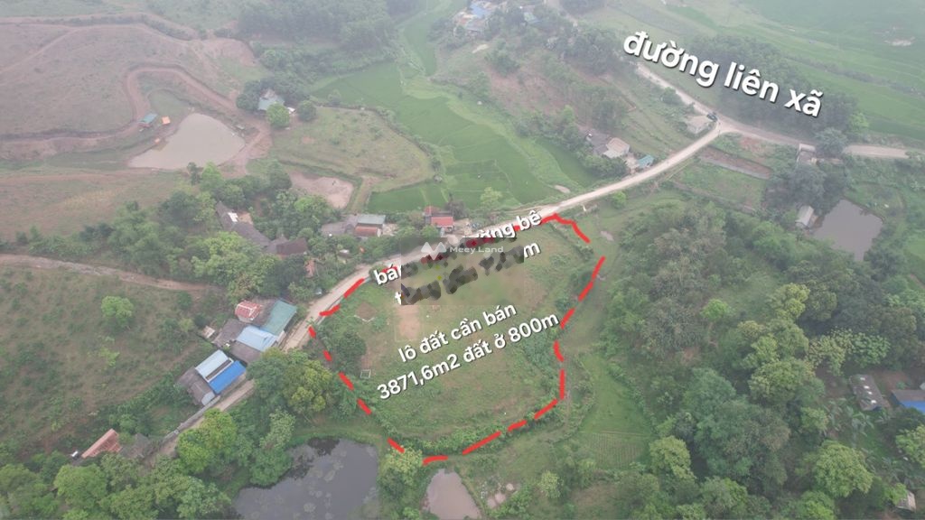 Cần bán lô đất diện tích 3871m2 tại Cao Sơn, Lương Sơn, Hòa Bình-03