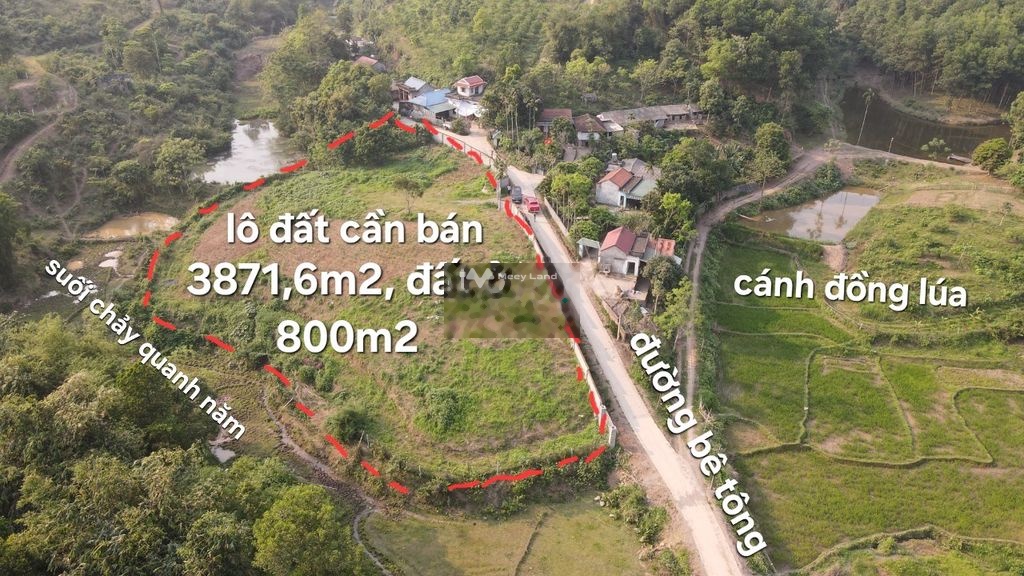 Cần bán lô đất diện tích 3871m2 tại Cao Sơn, Lương Sơn, Hòa Bình-01