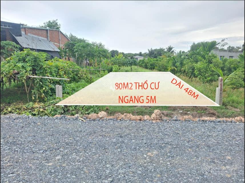 Bán đất giá 470 triệu, diện tích 250 m2, tại Xã Hiệp Thạnh, Gò Dầu, Tây Ninh-02