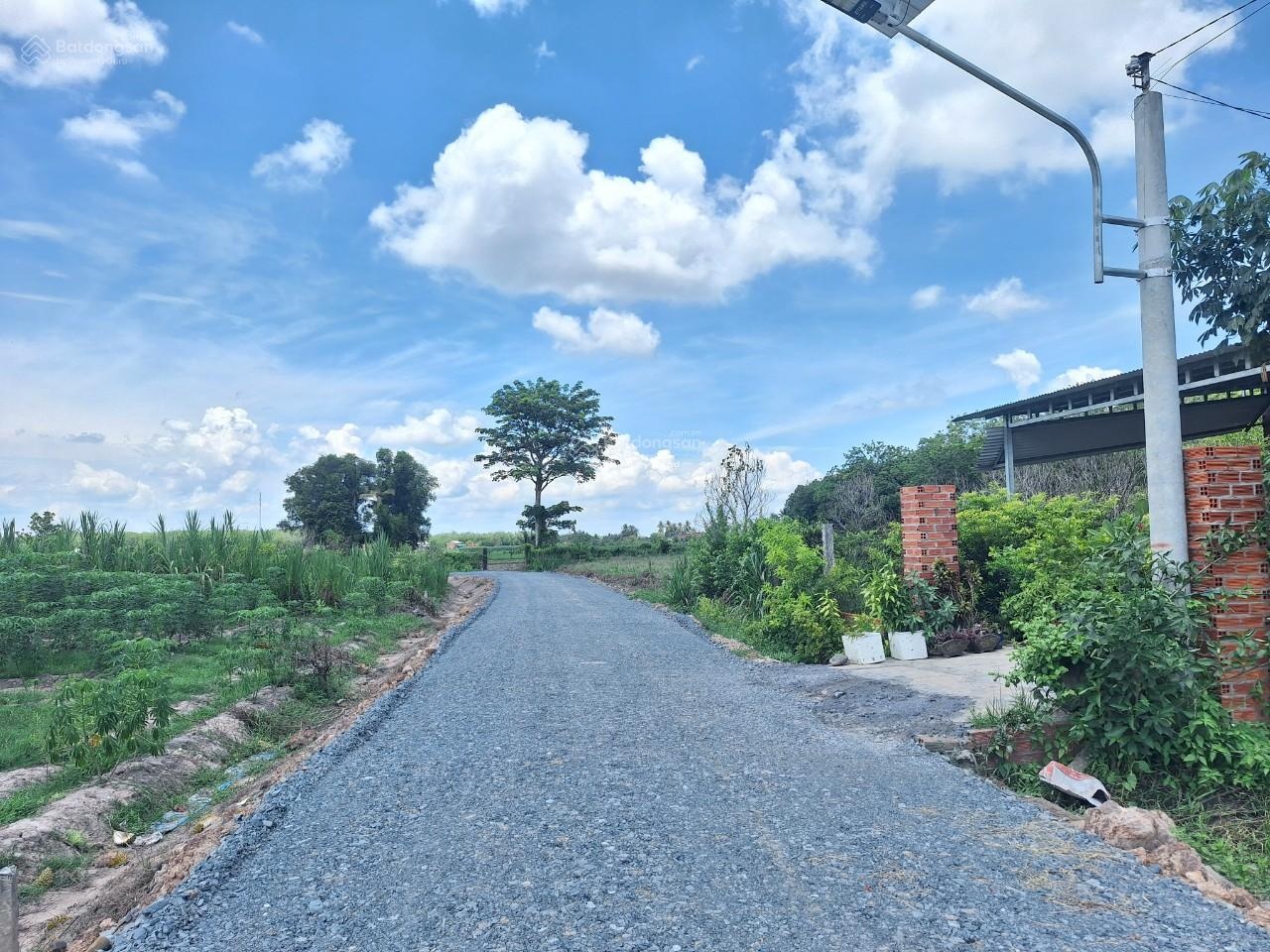 Bán đất giá 470 triệu, diện tích 250 m2, tại Xã Hiệp Thạnh, Gò Dầu, Tây Ninh-01