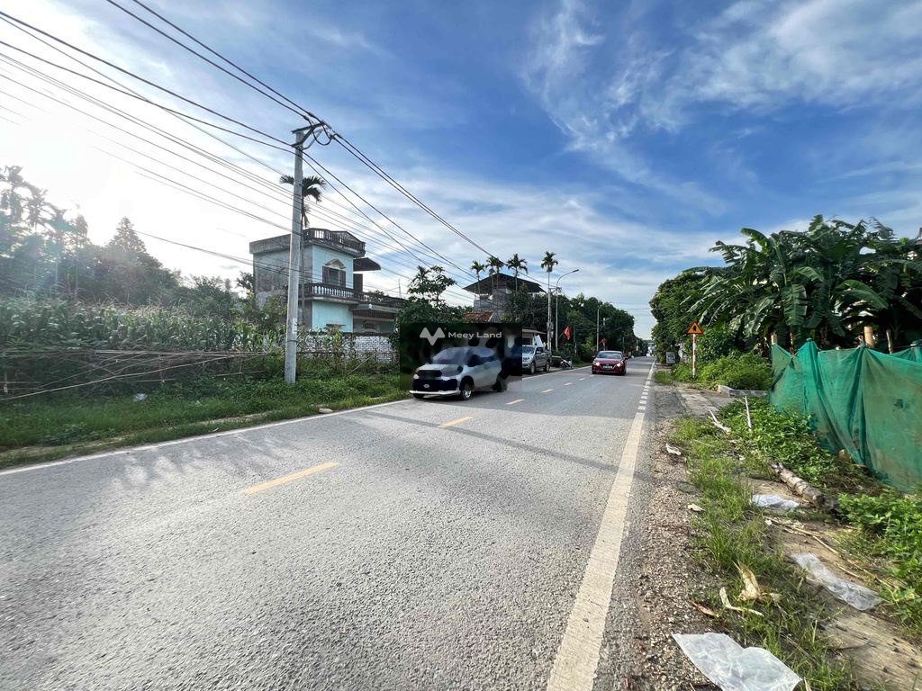 Bán đất tại Trán Voi, Phú Mãn, Quốc Oai. Diện tích 340m2, giá 4,42 tỷ-03
