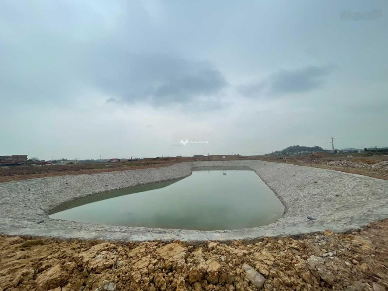 Bán đất tại khu công nghiệp Yên Dũng, Bắc Giang. Diện tích 90m2, giá 1,5 tỷ-01