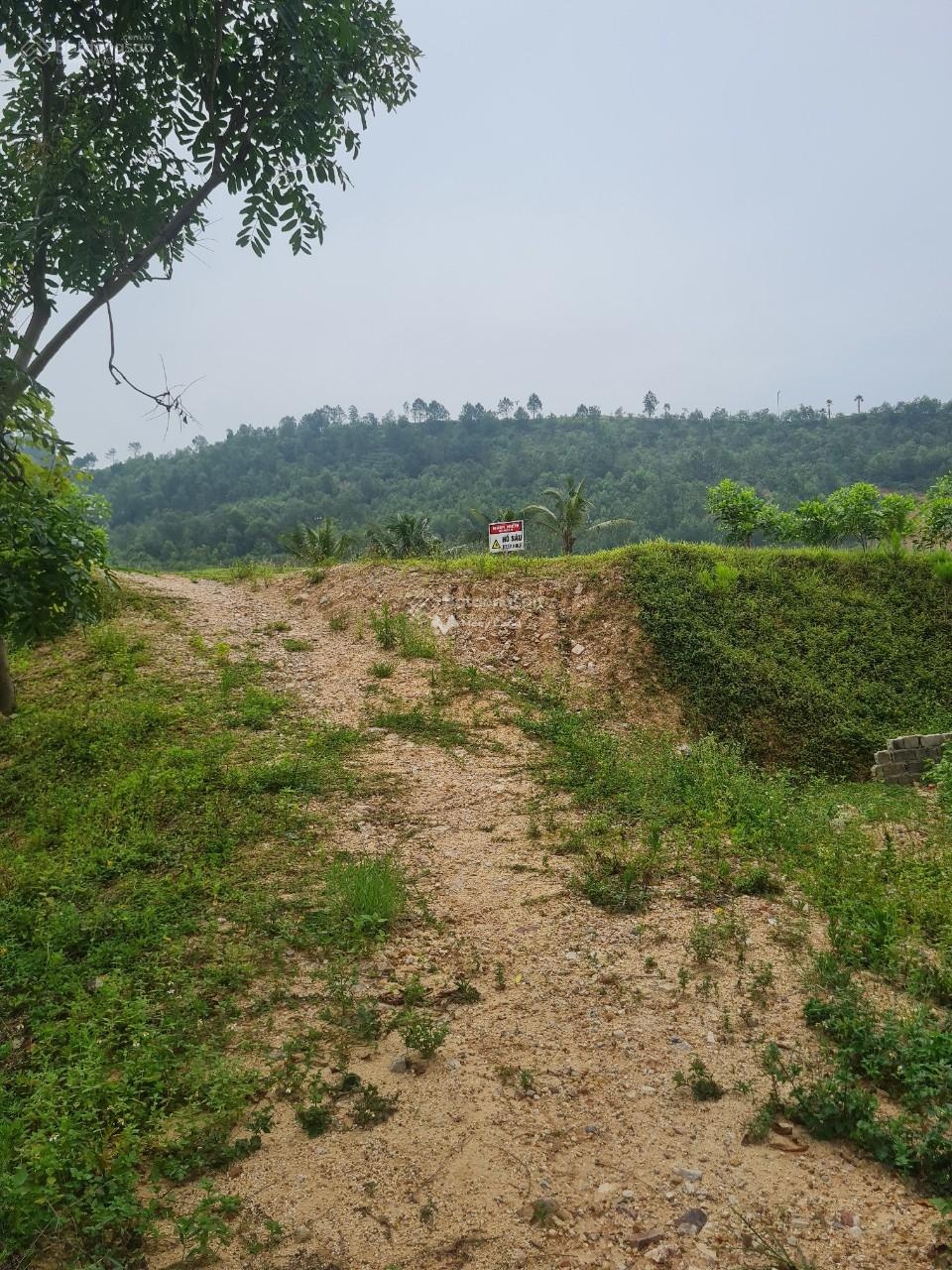 Bán đất tại Việt Yên, Bắc Giang. Diện tích 128m2, giá 580 triệu-03