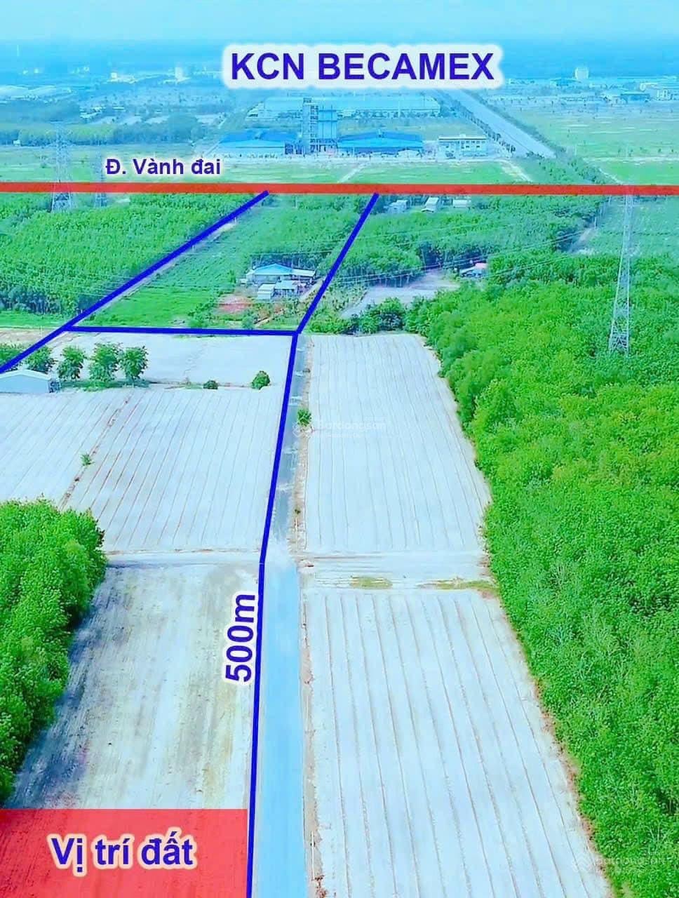 Bán đất giá 490 triệu, diện tích 130 m2, tại Xã Minh Hưng, Chơn Thành, Bình Phước-03