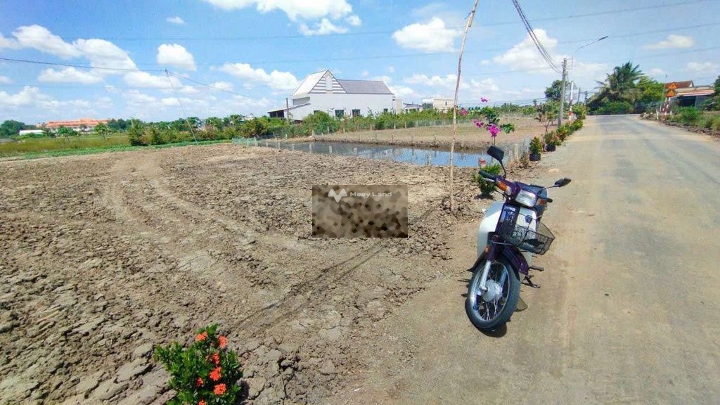 Bán đất thổ cư giá 990 triệu, diện tích 182 m2, tại Lạc Tấn, huyện Tân Trụ, Long An-02