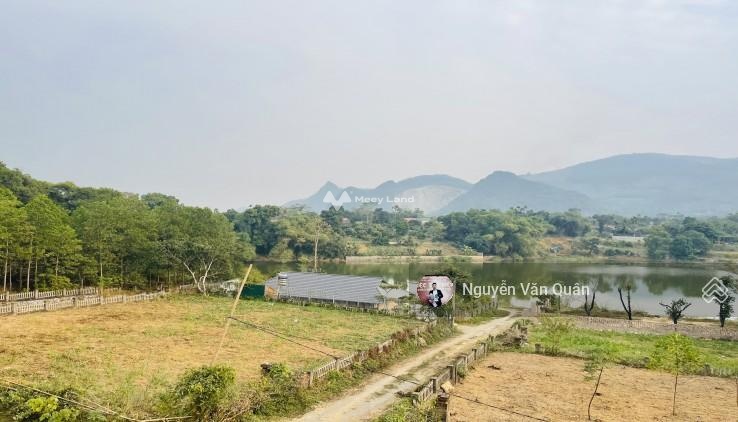 Bán đất lô góc tại Đồng Chanh, Cư Yên, Lương Sơn, Hòa Bình. Diện tích 1000m2, giá thương lượng-02
