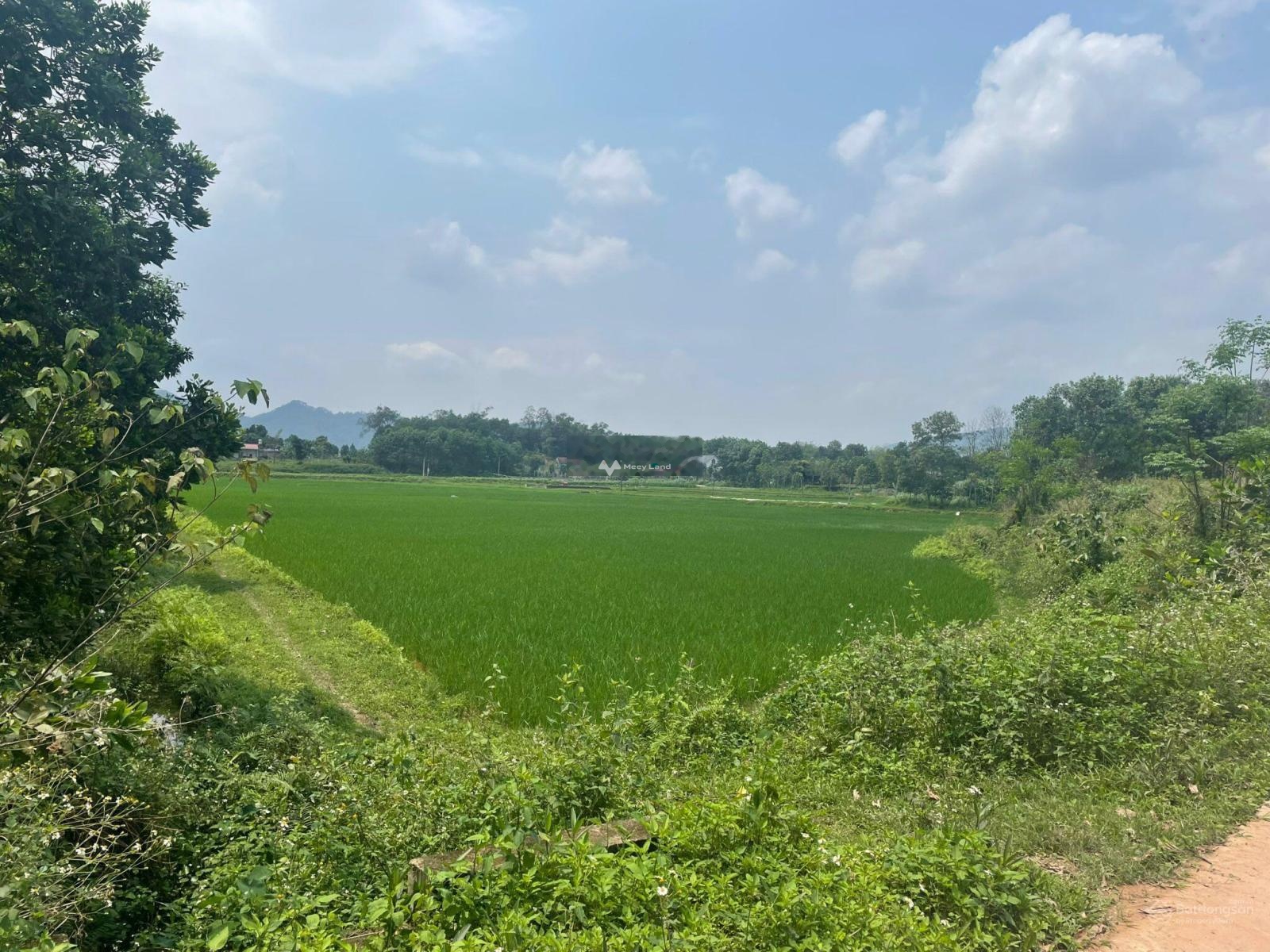 Bán đất tại thôn Đô Lương, Bắc Sơn, Sóc Sơn. Diện tích 7000m2, giá 9,1 tỷ-03