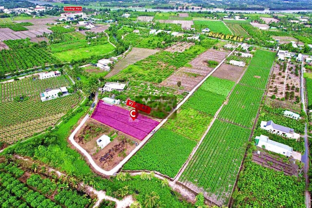 Bán đất thổ cư giá 1,3 tỷ, diện tích 1000 m2, tại Bình Đức, Huyện Bến Lức, Long An-02