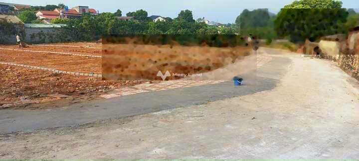 Cần bán lô đất tại Chu Điện, Lục Nam, Bắc Giang. Diện tích 250m2, giá 380 triệu