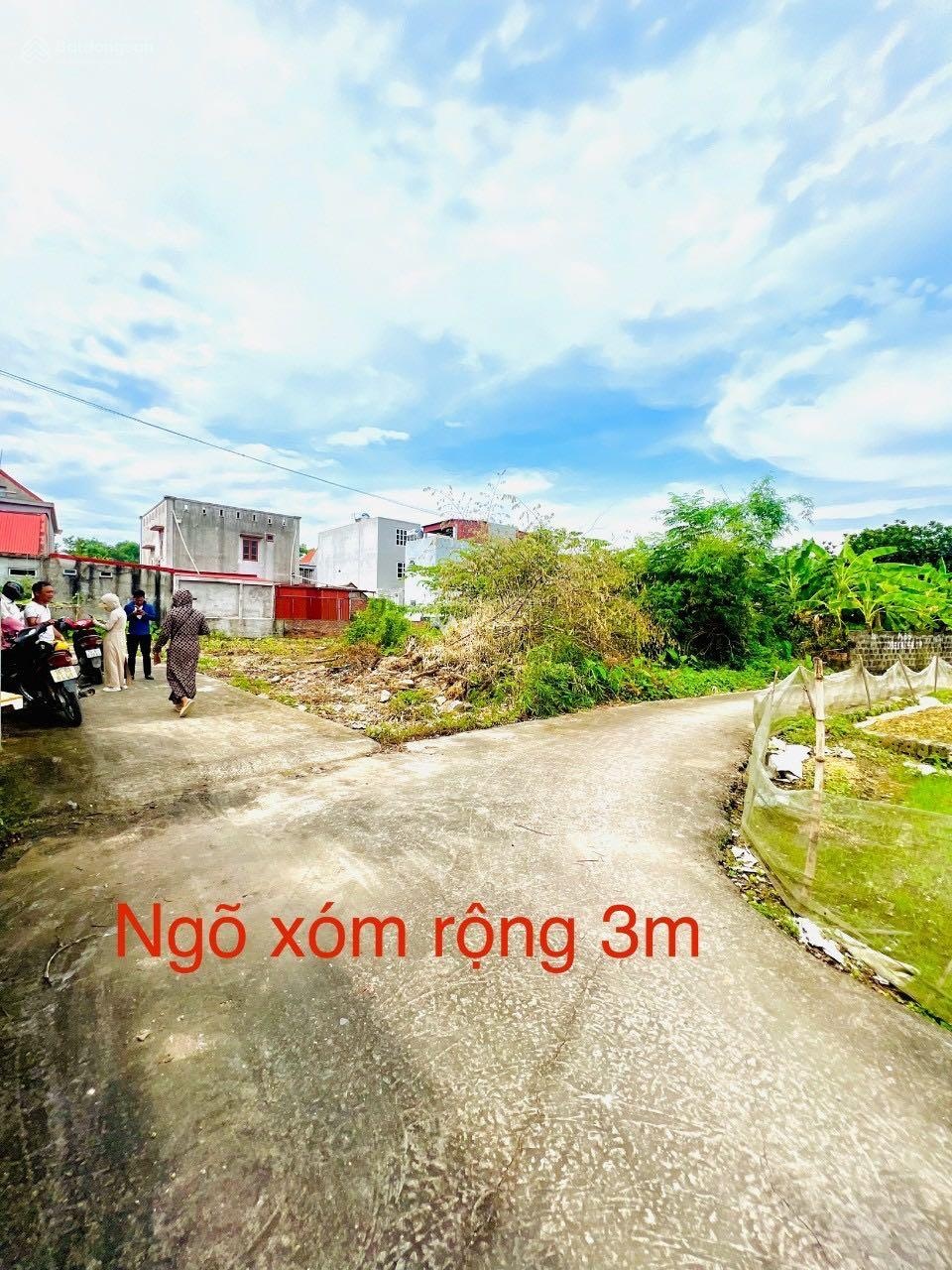 Bán lô đất diện tích 97m2 tại Hoa Động, Thuỷ Nguyên, Hải Phòng-02