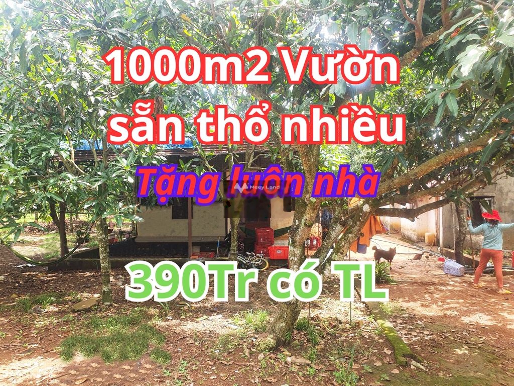 Bán đất thổ cư giá 390 triệu, diện tích 1000 m2, tại Chơn Thành, Bình Phước-02
